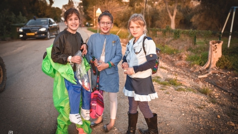 tal-shahar-202.JPG