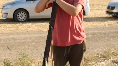 8.JPG