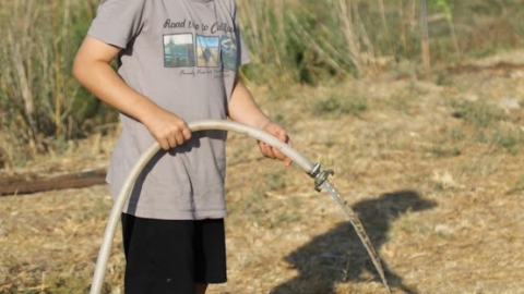 18.JPG