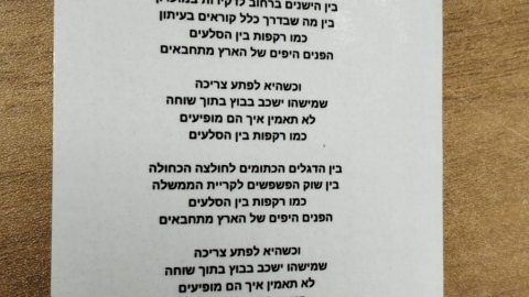 WhatsApp Image 2023-10-30 at 12.07.07.jpeg